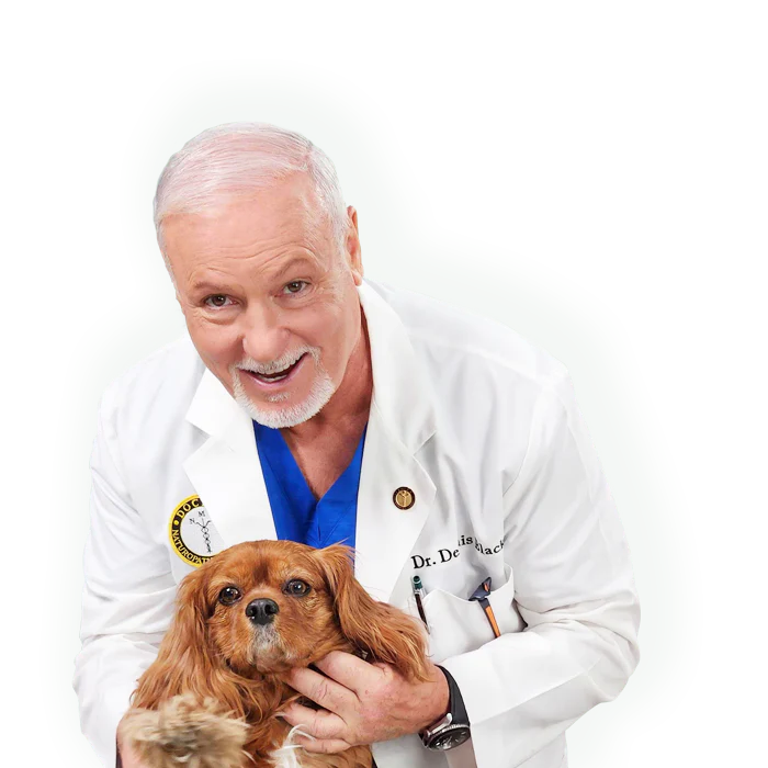 Dr. Dennis Black with a golden retriever